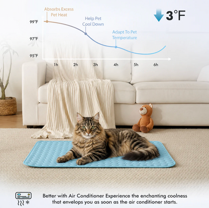 Protect Your Cat From Heatstroke with Firmelle Cooling Mat