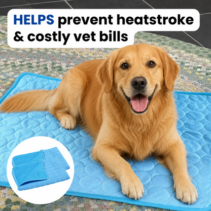 Protect Your Dog From Heatstroke with Firmelle Cooling Mat