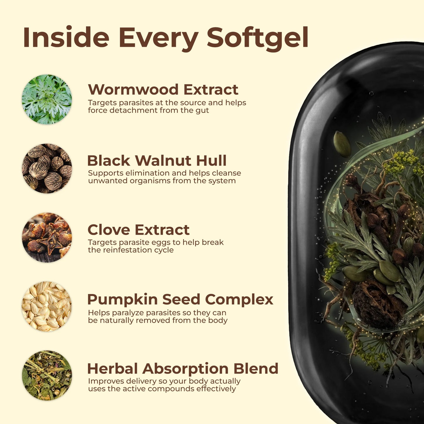 Wormwood black walnuts